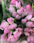 Tulips Bridal Bouquet