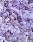 Leila - Preserved Hydrangea Bouquet