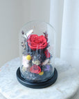Preserved Flower Dome (Pink & Red)