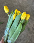 Thea in a Jar/ Vase - Tulips and Tanacetum Daisy