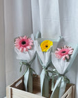 Gemma - Gerbera Mini Bouquet