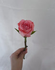 HOT PINK FLOWER - Hello flowers