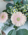 Mini Bouquet - Germini, Tanacetum & Eucalyptus