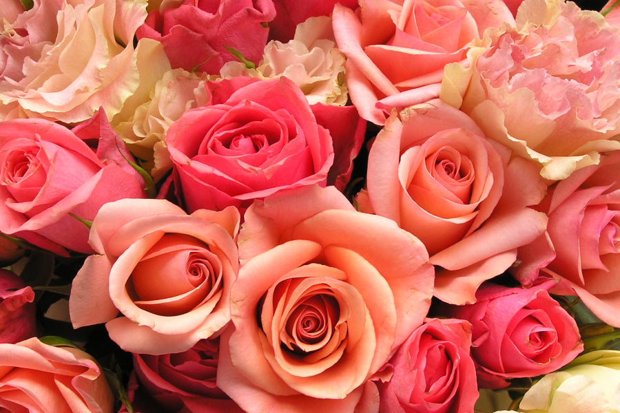 9 Flowers You Can Get For Her That Represents Femininity