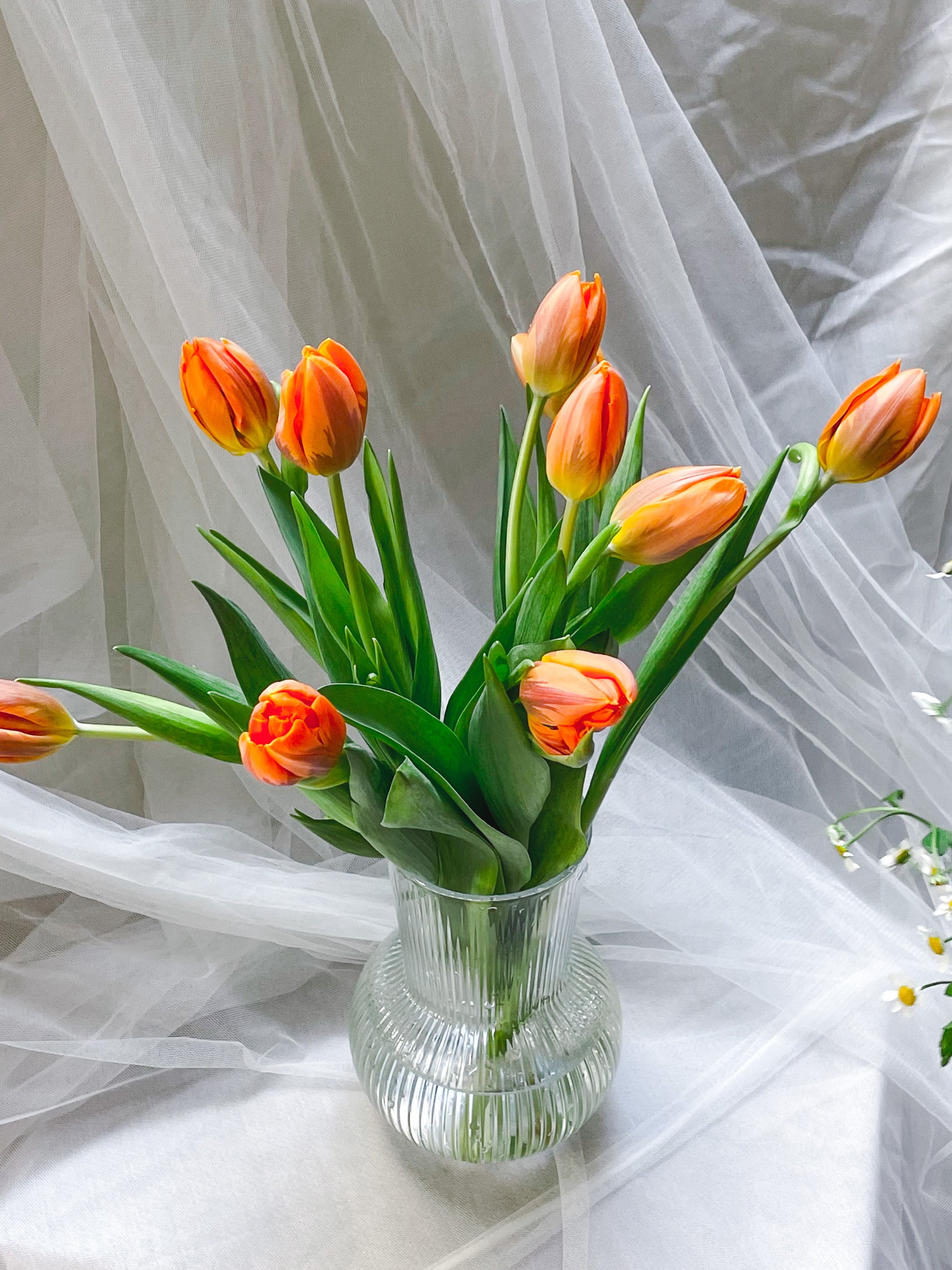 Thea – Tulip & Tanacetum Daisy Bouquet – Hello Flowers! Singapore