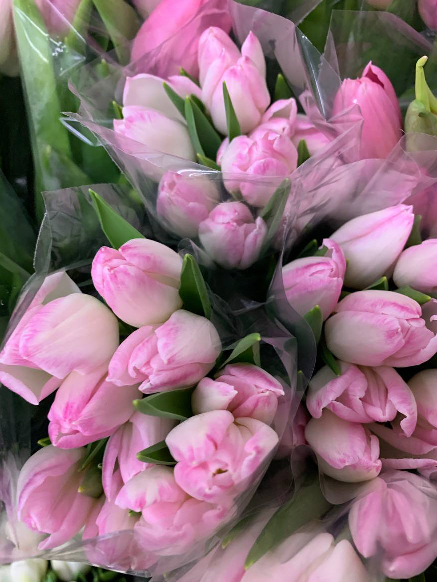 Tulips Bridal Bouquet