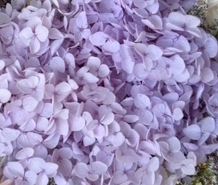 Leila - Preserved Hydrangea Bouquet