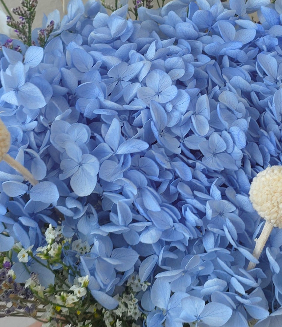 Leila - Preserved Hydrangea Bouquet
