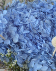 Leila - Preserved Hydrangea Bouquet
