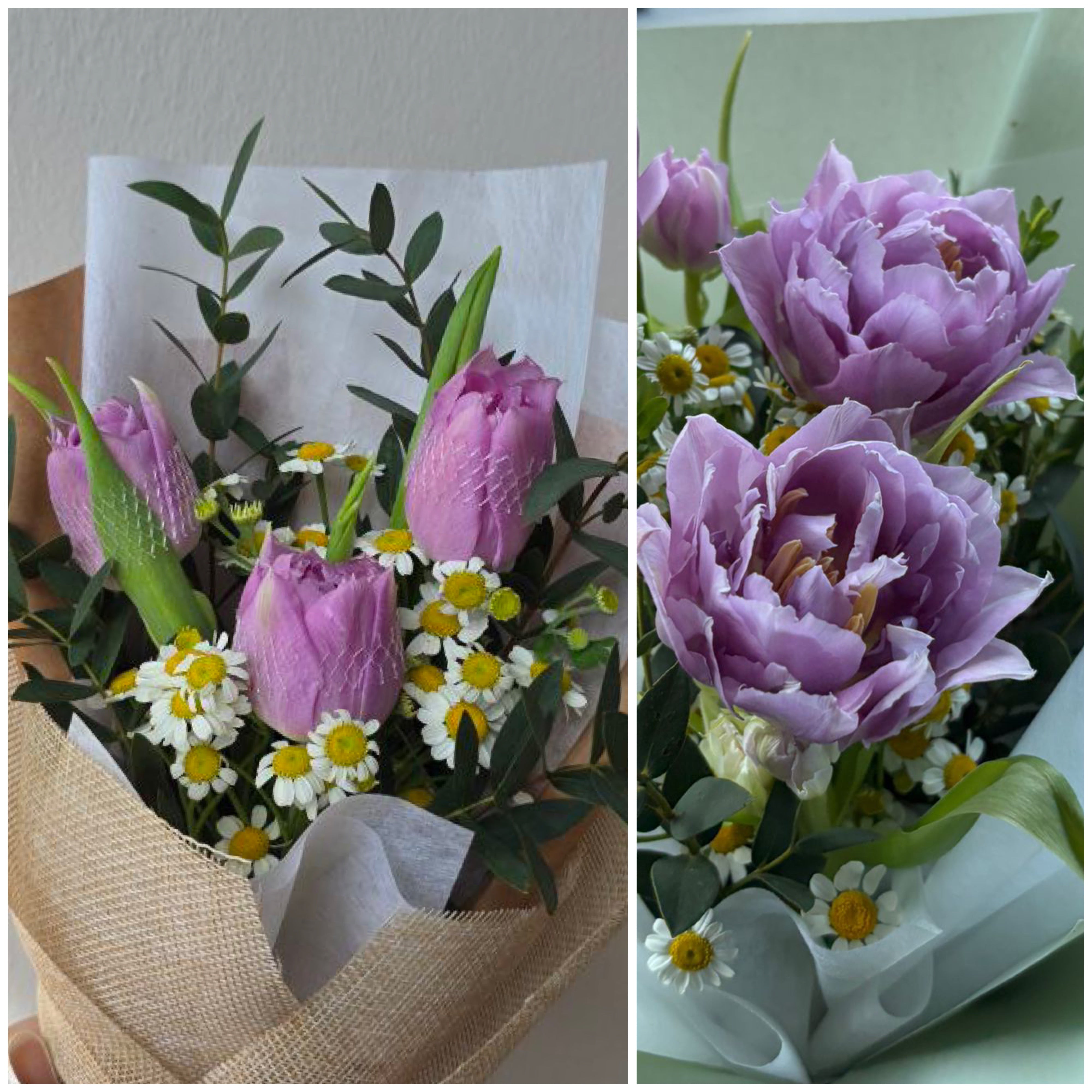 Thea in a Jar/ Vase - Tulips and Tanacetum Daisy – Hello Flowers
