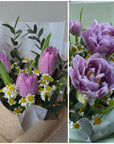 Thea in a Jar/ Vase - Tulips and Tanacetum Daisy