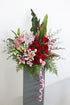 RED & PINK Congratulatory Stand